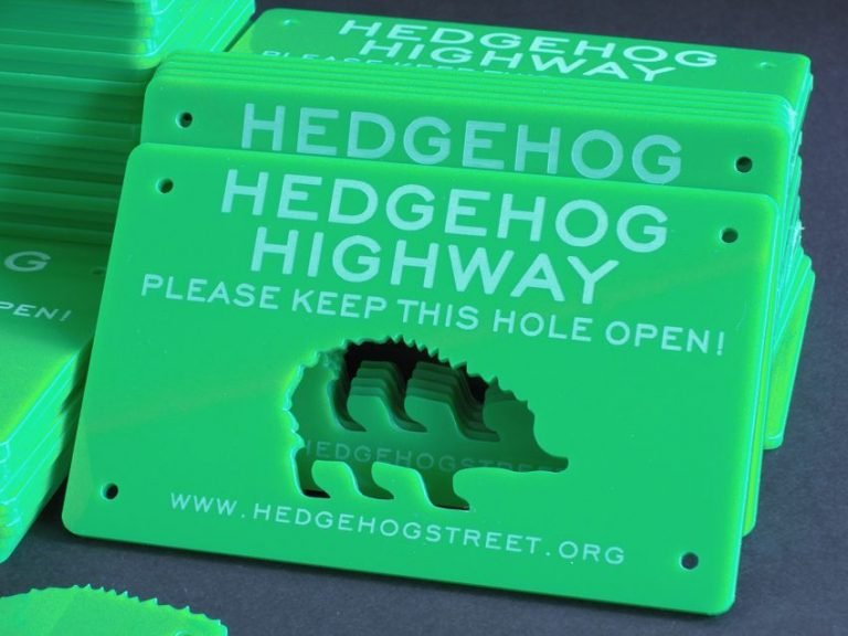 Save our hedgehogs!