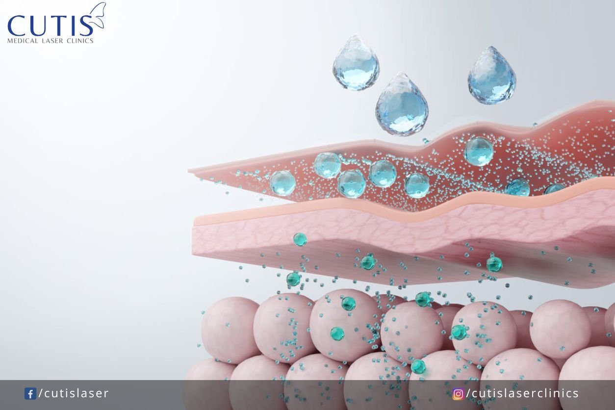 The science behind bio-remodelling How it works