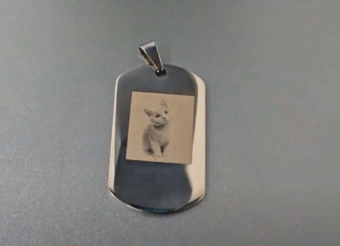dog-tag.jpg