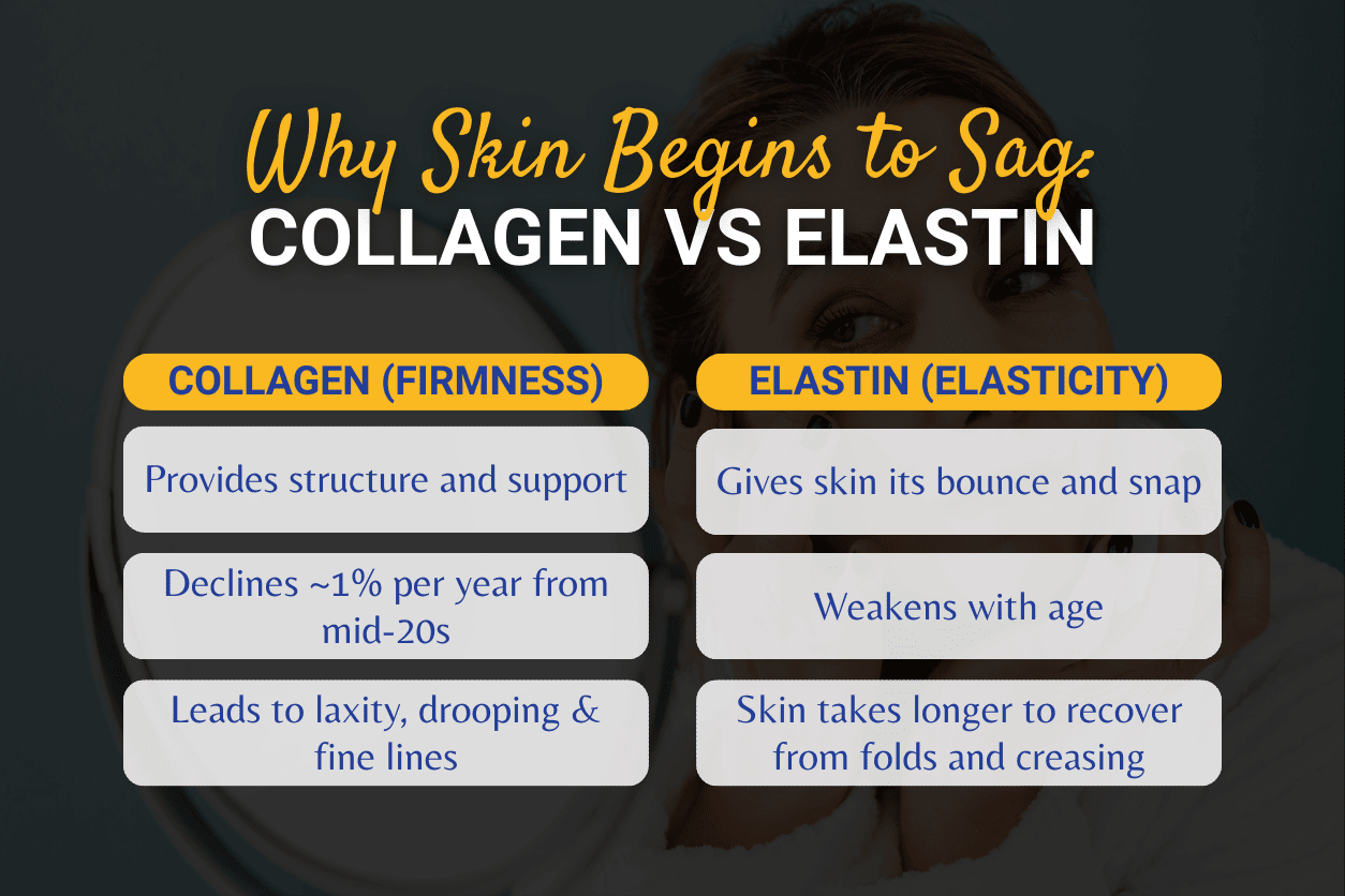 Why skin begins to sag Collagen vs elastin