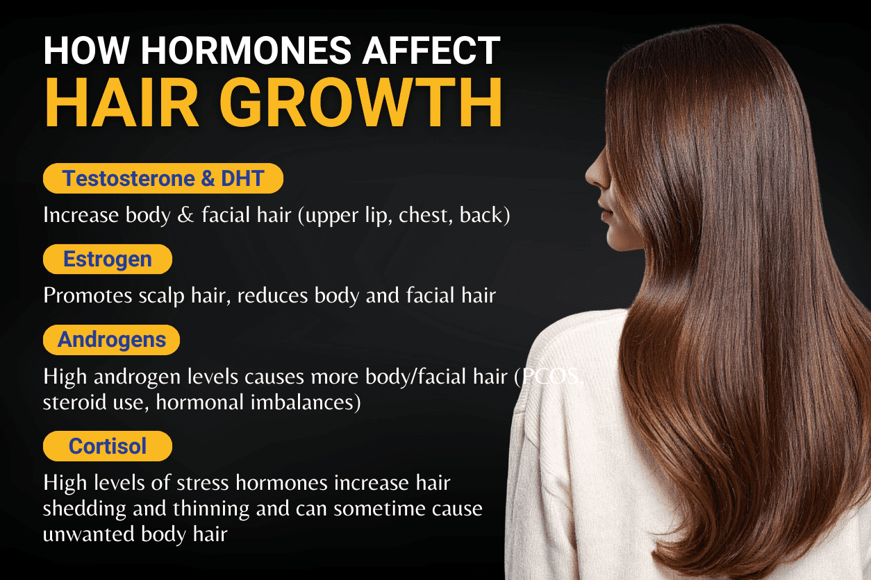 Hormones and their impact