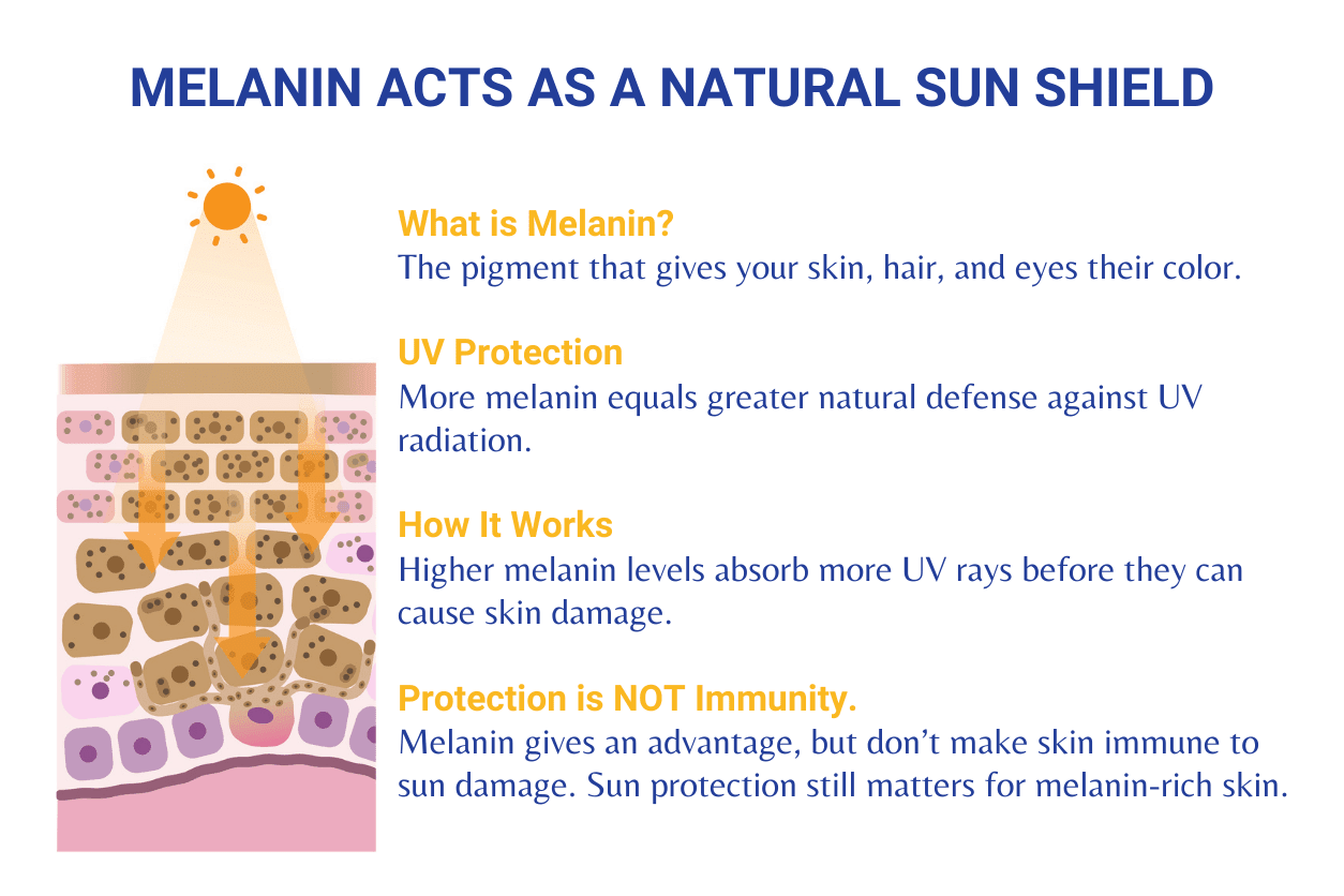 Melanin acts as a natural sun shield