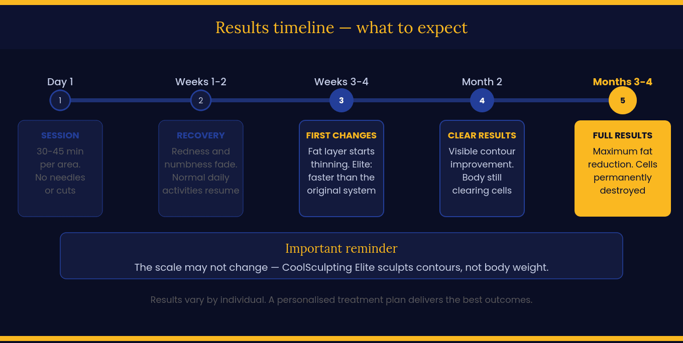 CoolSculpting Elite Results Timeline