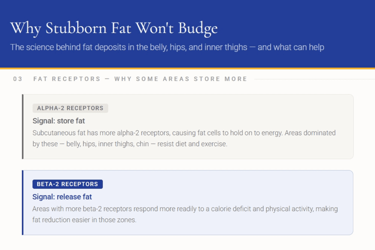 Fat Location and Storage