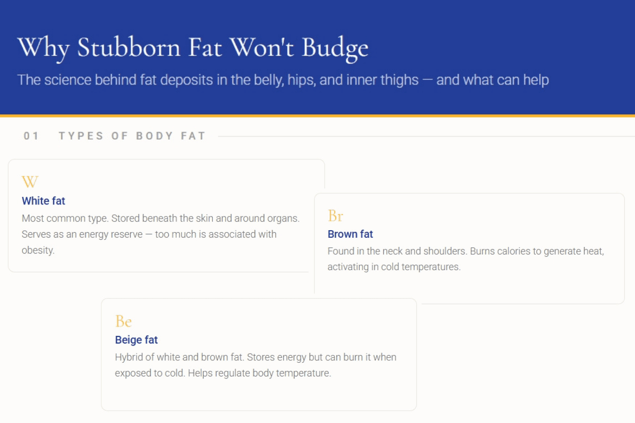 Stubborn Fat