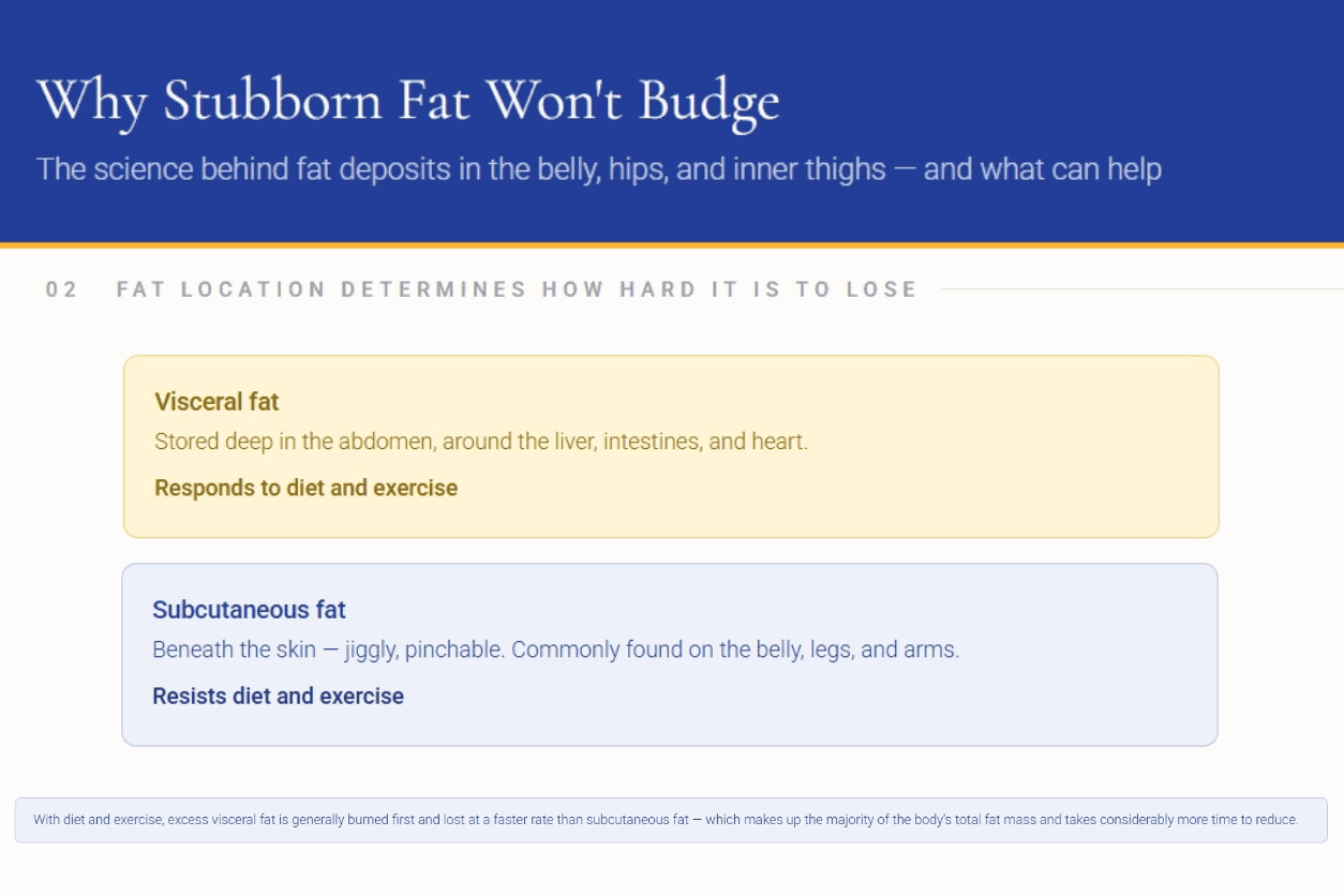 Types of Body Fat