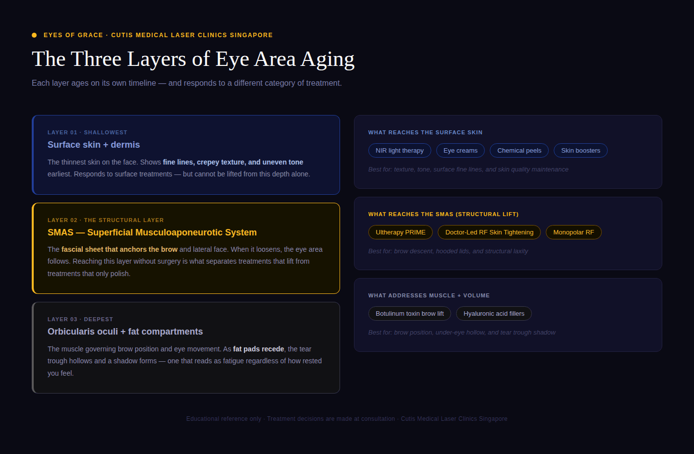 The Anatomy of the Periorbital Area 3 Layers of Eye Area Aging